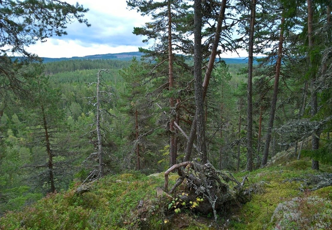 Übarn Glåntålbodn main image 0